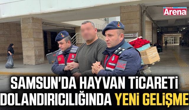 Samsun'da hayvan ticareti dolandırıcılığında yeni gelişme
