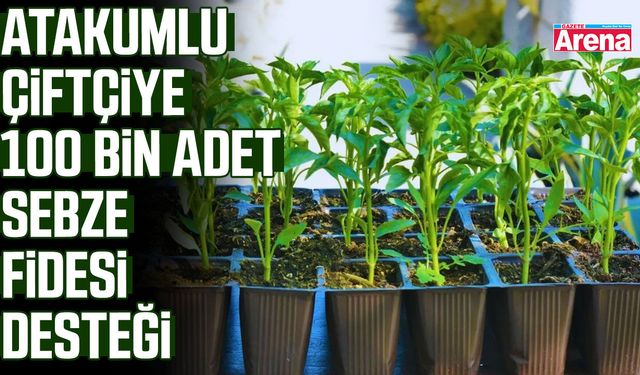 Atakumlu çiftçiye 100 bin adet sebze fidesi desteği