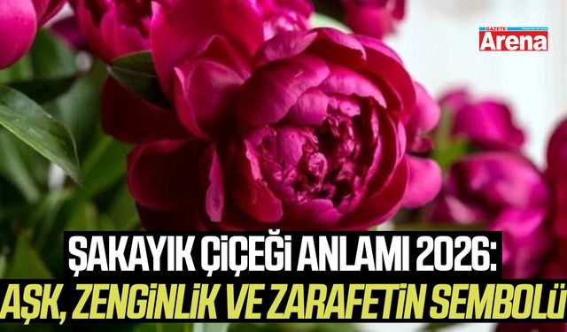 Şakayık Çiçeği anlamı 2026: Aşk, zenginlik ve zarafetin sembolü