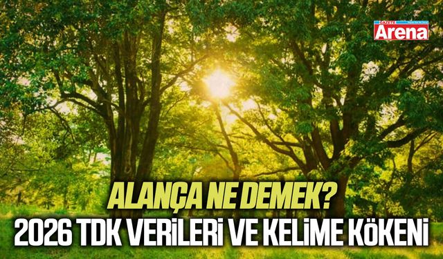 Alança ne demek? 2026 TDK verileri ve kelime kökeni