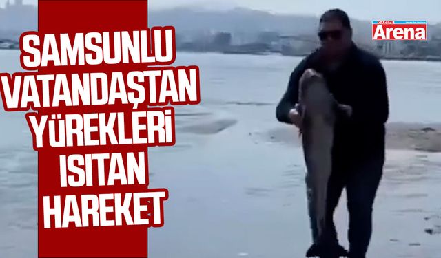Samsunlu vatandaş yunusun hayatını kurtardı