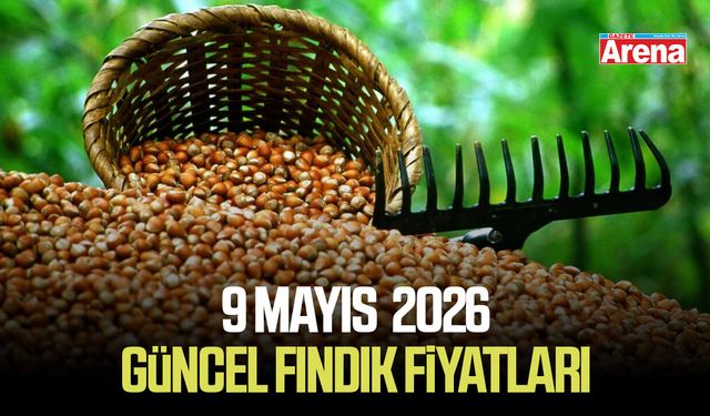 9 Mayıs 2026 serbest piyasada güncel fındık fiyatları