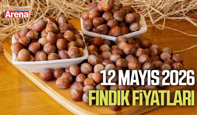 12 Mayıs 2026 güncel fındık fiyatları