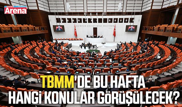 TBMM'de bu hafta hangi konular görüşülecek?