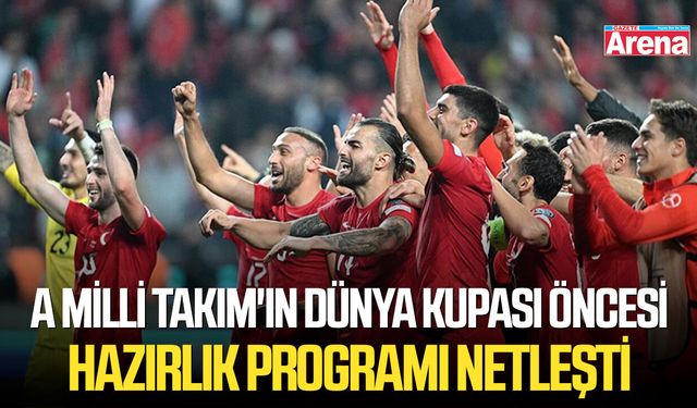 A Milli Takım'ın Dünya Kupası öncesi hazırlık programı netleşti