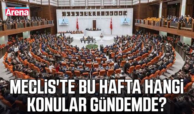 Meclis'te bu hafta hangi konular gündemde?