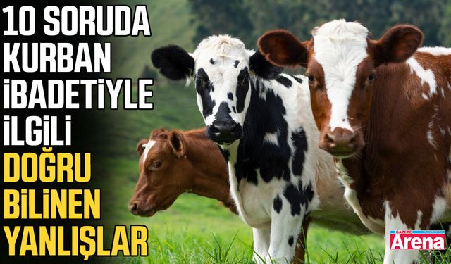10 soruda kurban ibadetiyle ilgili doğru bilinen yanlışlar