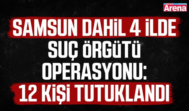 Samsun dahil 4 ilde suç örgütü operasyonunda 12 kişi tutuklandı