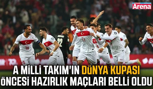 Millilerin Dünya Kupası öncesi hazırlık maçları belli oldu