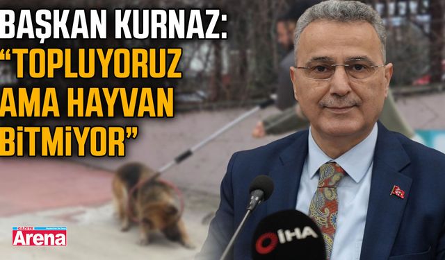 Başkan Kurnaz'dan sokak hayvanları açıklaması!