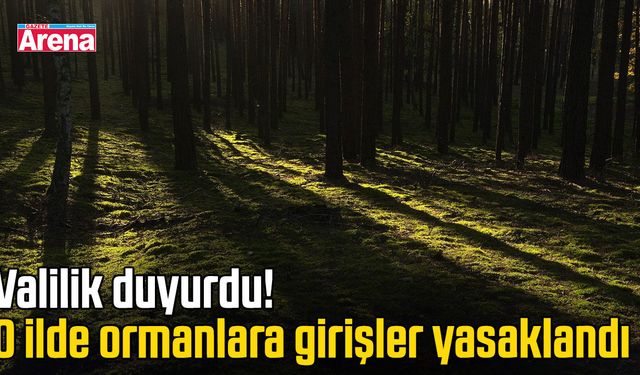 Valilik duyurdu! O ilde ormanlara girişler yasaklandı