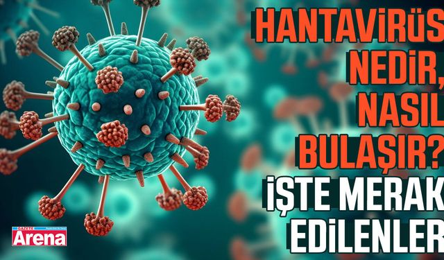 Hantavirüs nedir, nasıl bulaşır? İşte merak edilenler