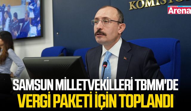 Samsun milletvekilleri TBMM'de vergi paketi için toplandı