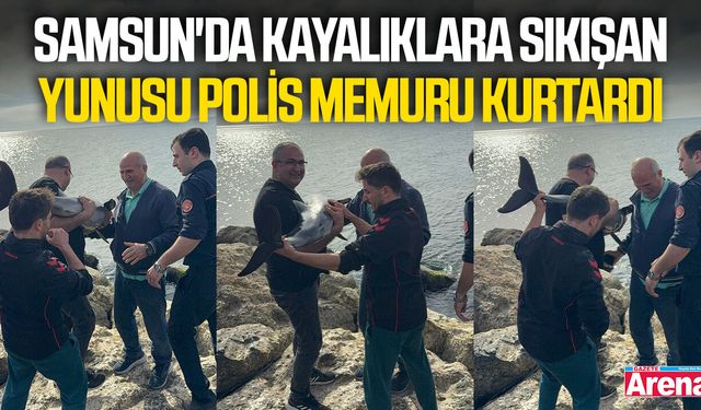 Samsun'da kayalıklara sıkışan yunusu polis memuru kurtardı