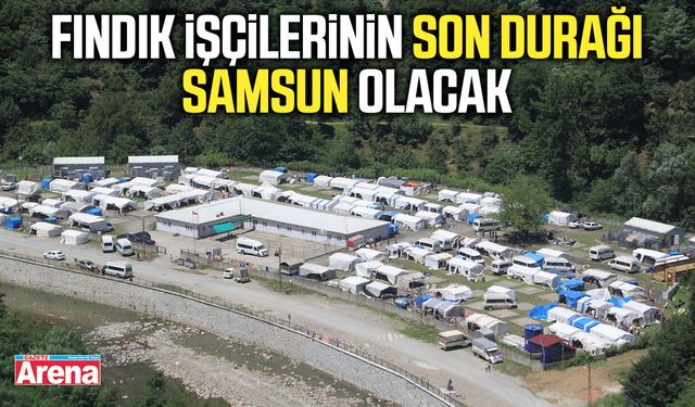Fındık işçilerinin son durağı Samsun olacak
