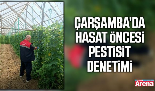Çarşamba’da hasat öncesi pestisit denetimi