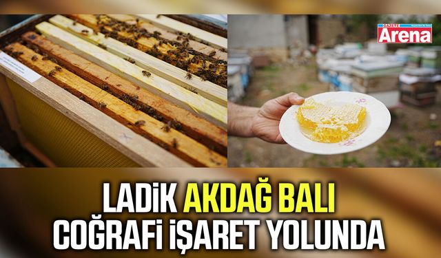Ladik Akdağ Balı coğrafi işaret yolunda