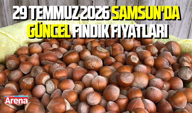 29 Temmuz 2026 Samsun'da güncel fındık fiyatları