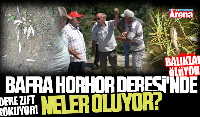Bafra Horhor Deresi'nde doğa katliamı!