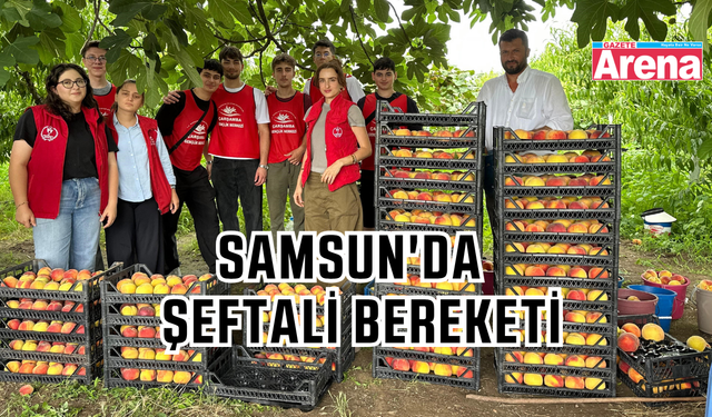 Samsun'da hasat etkinliği şeftali ile başladı