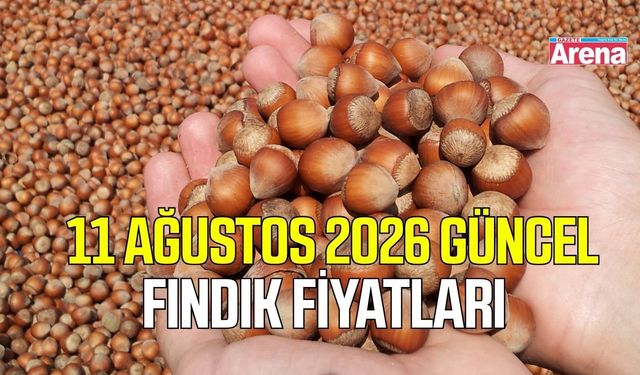 11 Ağustos 2026 güncel fındık fiyatları