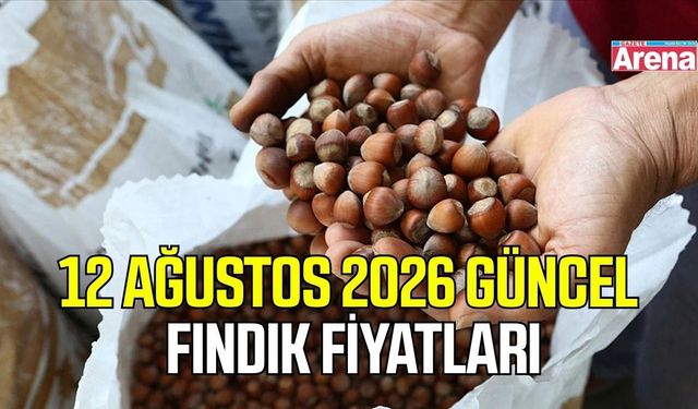 12 Ağustos 2026 güncel fındık fiyatları