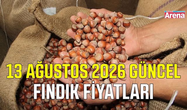 13 Ağustos 2026 güncel fındık fiyatları