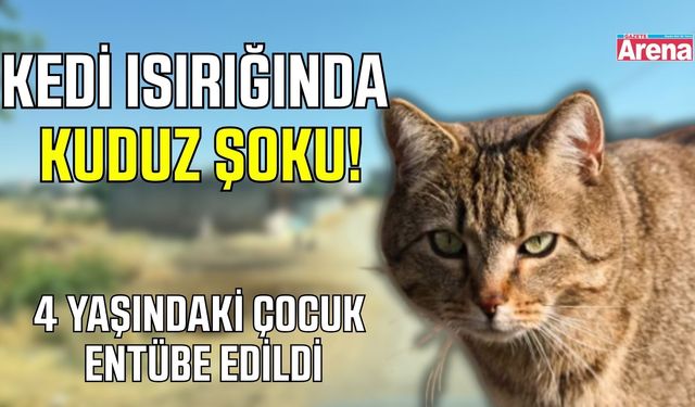 4 yaşındaki çocuğu ısıran kedi kuduz çıktı