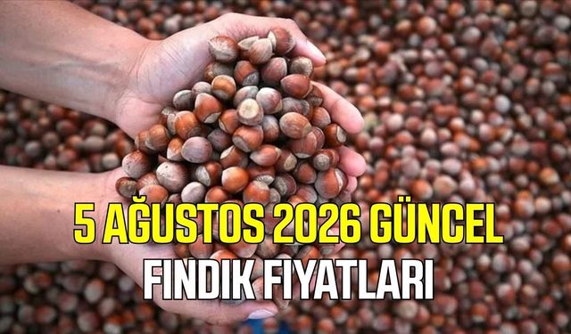 5 Ağustos 2026 güncel fındık fiyatları