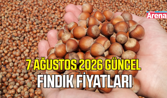 7 Ağustos 2026 güncel fındık fiyatları