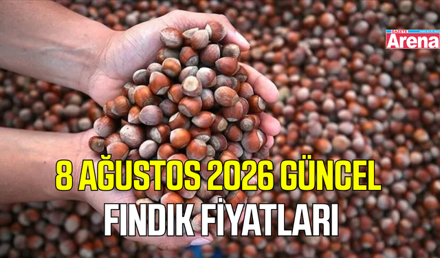 8 Ağustos 2026 güncel fındık fiyatları