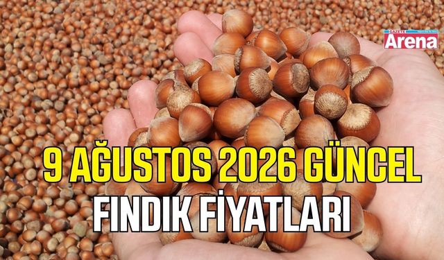 9 Ağustos 2026 güncel fındık fiyatları