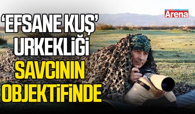 ‘Efsane kuş’ urkekliği, savcının objektifinde