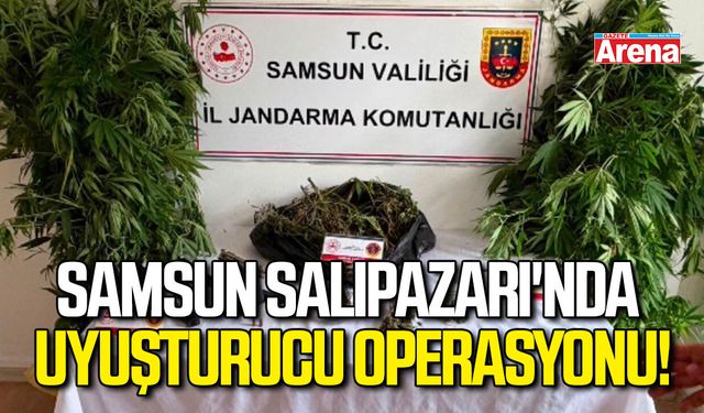 Samsun Salıpazarı'nda uyuşturucu operasyonu