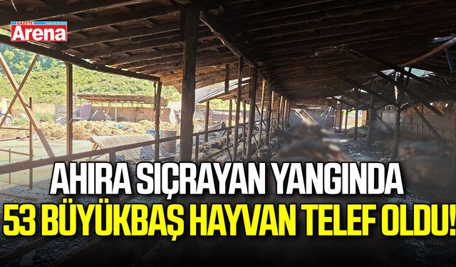 Ahıra sıçrayan yangında 53 büyükbaş hayvan telef oldu