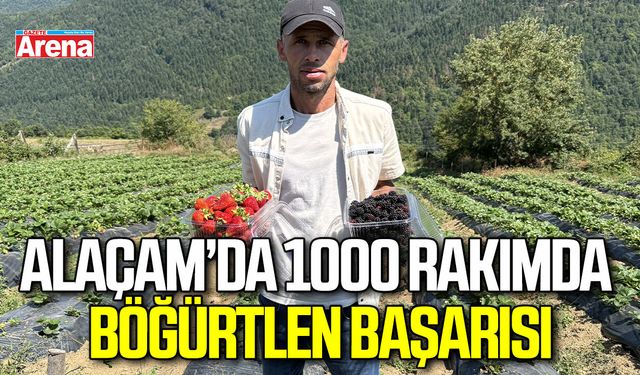 Alaçam’da 1000 rakımda böğürtlen başarısı