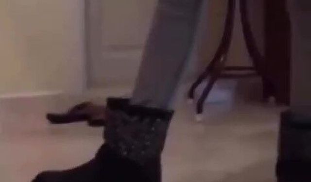 Kaplumbağayı ayağıyla öldüren kadın gözaltına alındı