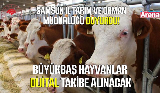 Büyükbaş hayvanlar artık dijital olarak takip edilebilecek