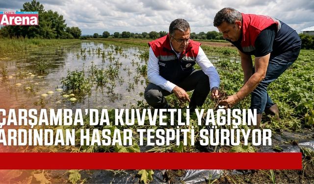 Çarşamba’da yağış sonrası tarım alanlarında hasar tespiti sürüyor