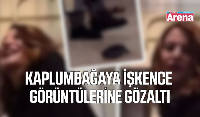 Kaplumbağayı ayağıyla öldüren kadın gözaltına alındı