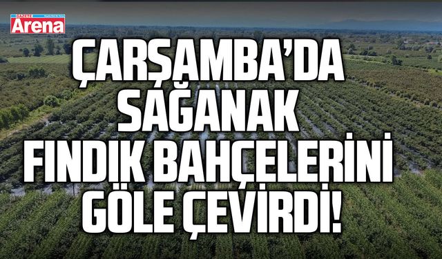 Çarşamba’da sağanak fındık bahçelerini göle çevirdi