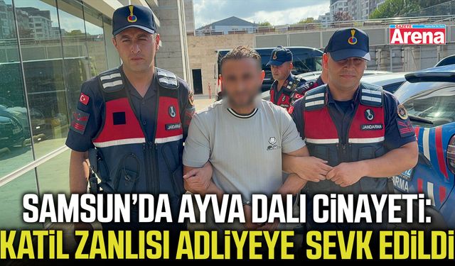 Samsun’da ayva dalı cinayeti: Katil zanlısı adliyede