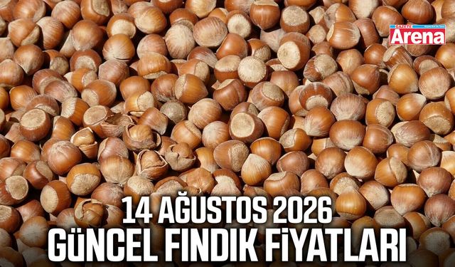 14 Ağustos 2026 güncel fındık fiyatları