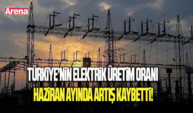 Türkiye'nin elektrik üretim oranı haziran ayında artış kaybetti