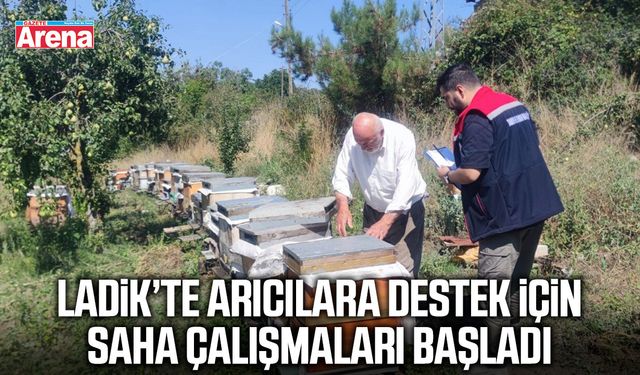 Ladik’te arıcılara destek için saha çalışmaları başladı