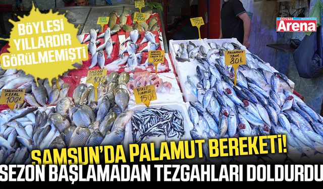 Samsun’da palamut bereketi göz dolduracak!