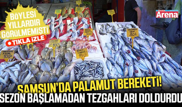 Samsun’da palamut bereketi göz dolduracak!