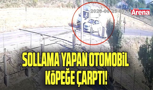 Sollama yapan otomobil köpeğe çarptı