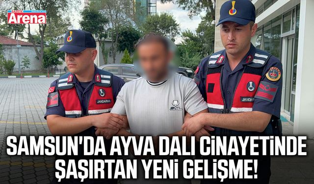 Samsun'da ayva dalı cinayetinde şaşırtan yeni gelişme!