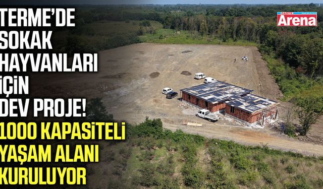 Terme’de sokak hayvanları için dev proje!